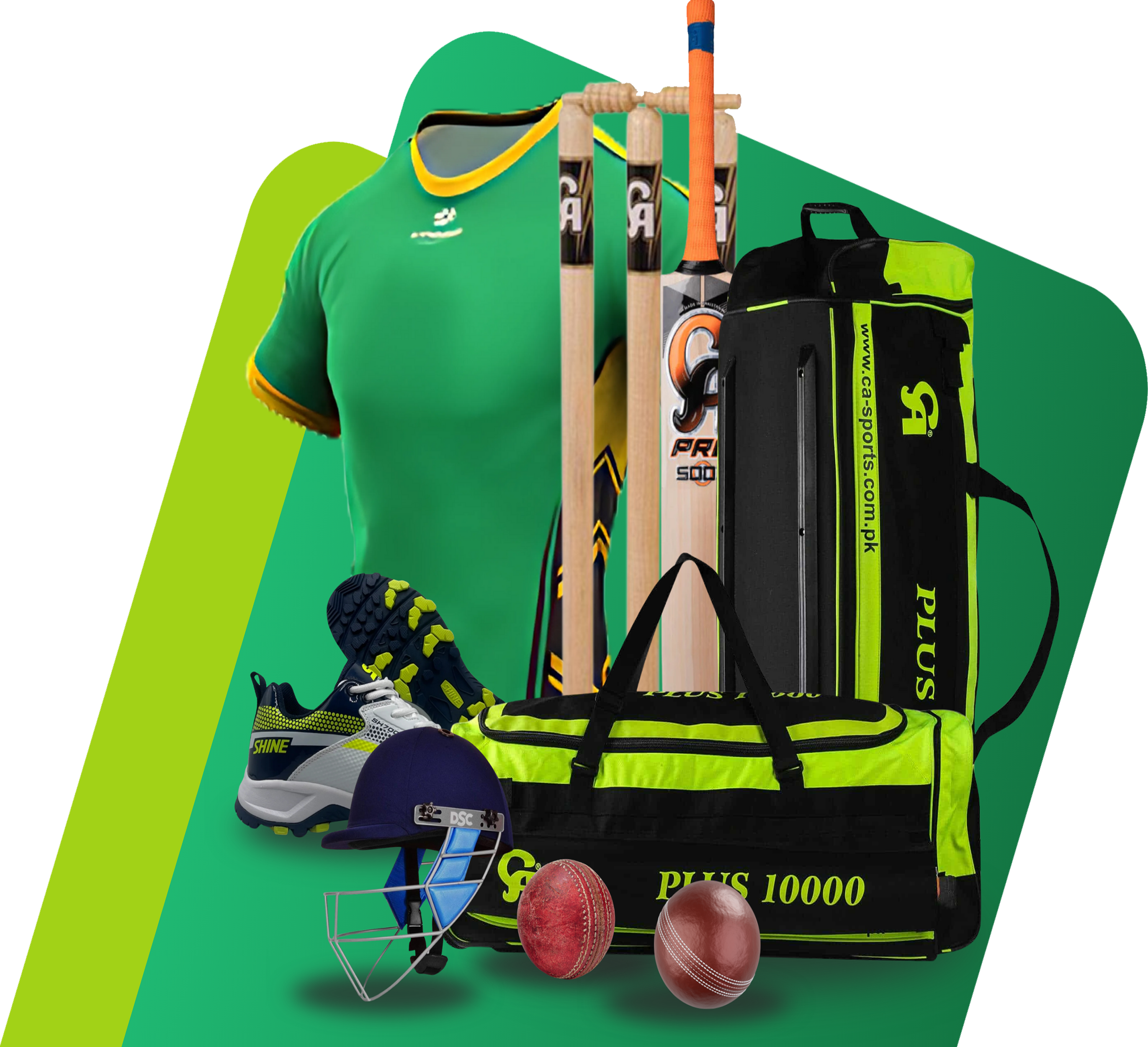 Cricket Team